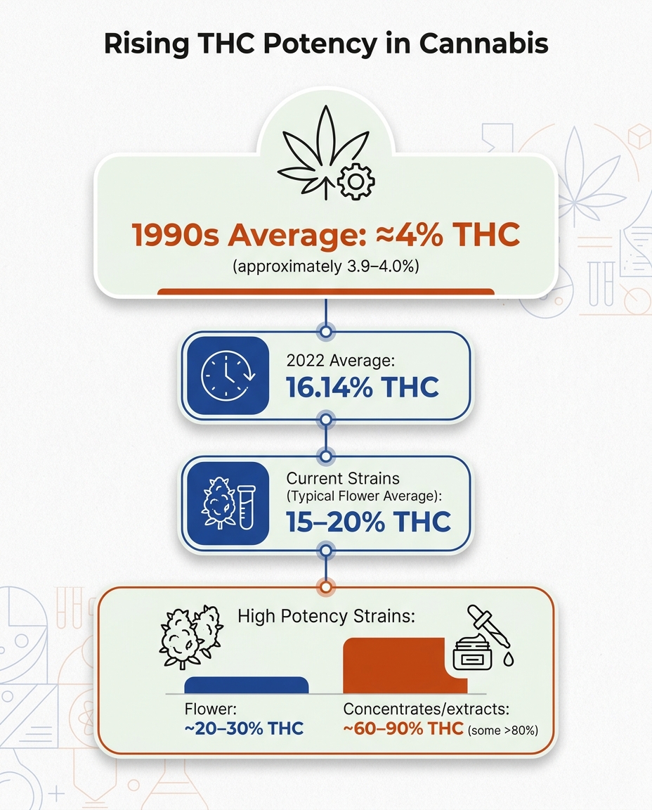 Infographic