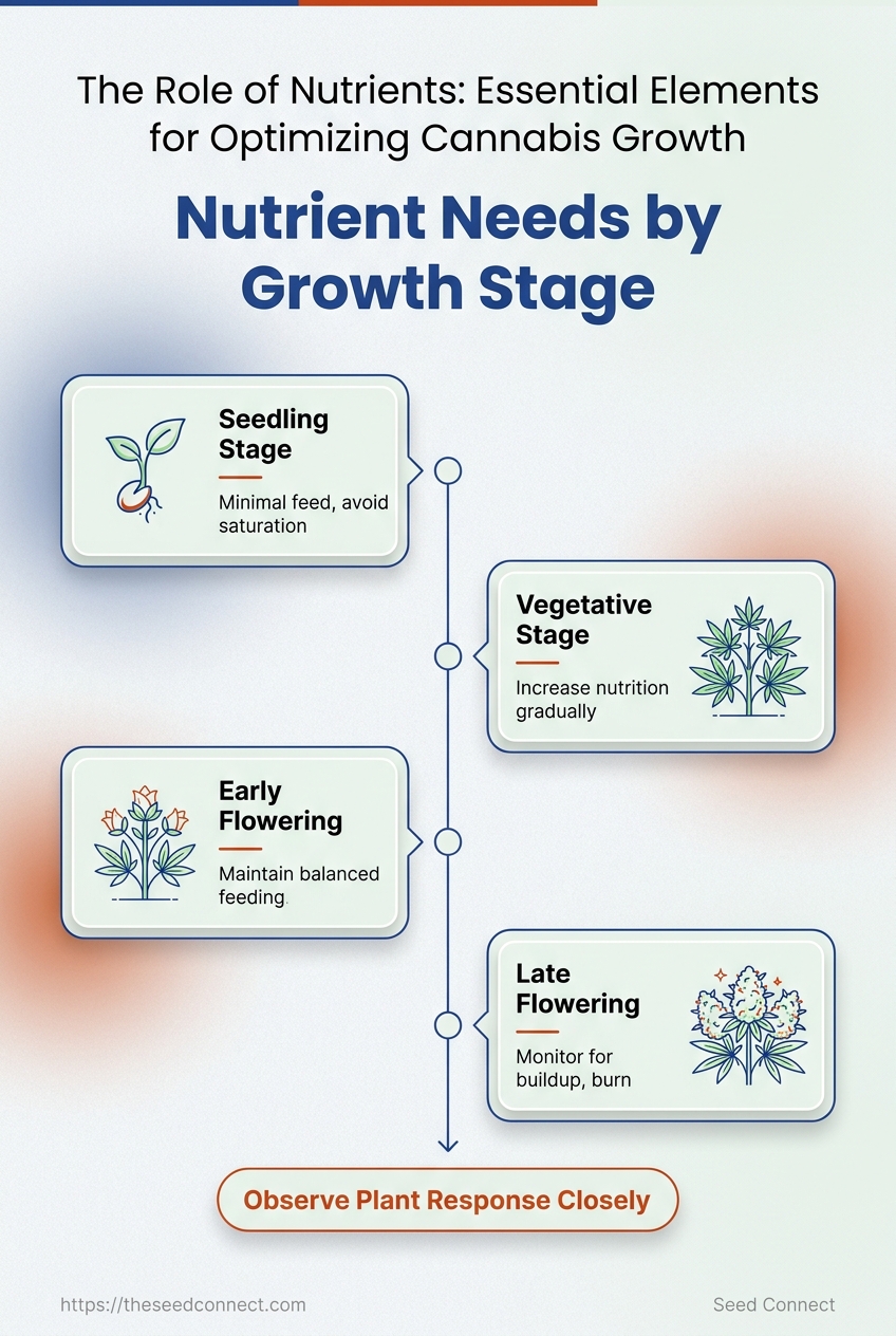 Infographic