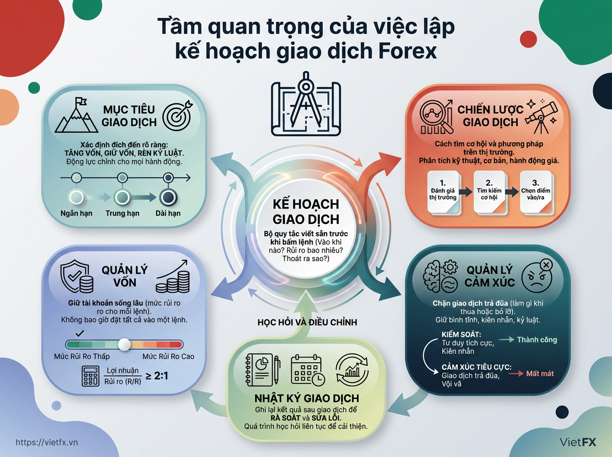 Infographic
